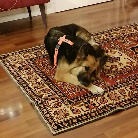 Villa Moiacchina Luxury Bevera (Lombardia)