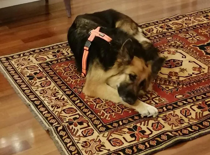 וילה Moiacchina Luxury Bevera (Lombardia)