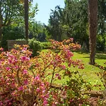 Moiacchina Luxury