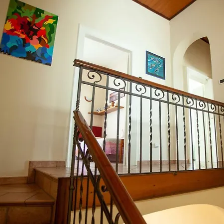 فيلة Moiacchina Luxury